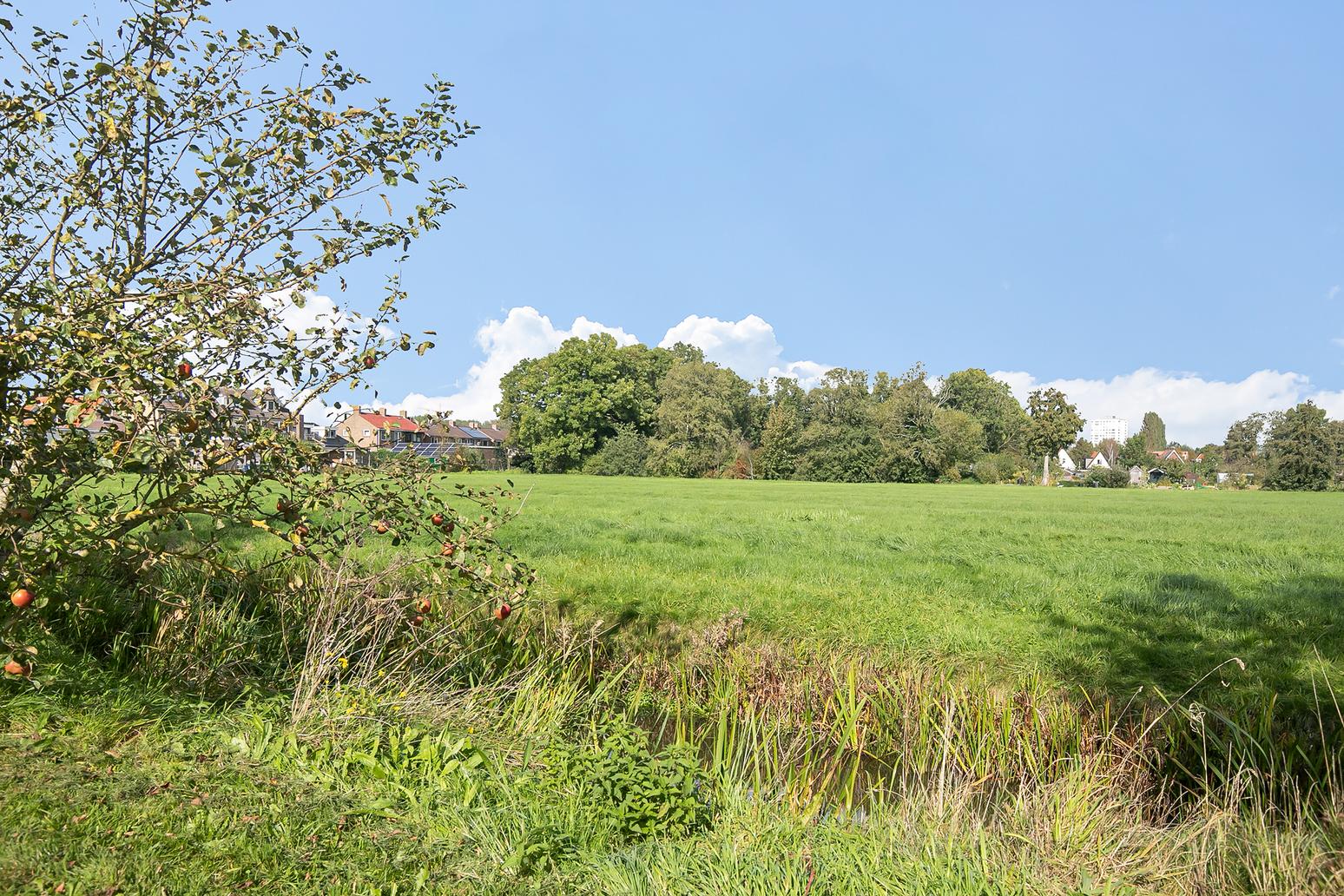 Doekeslân 8 in Goutum