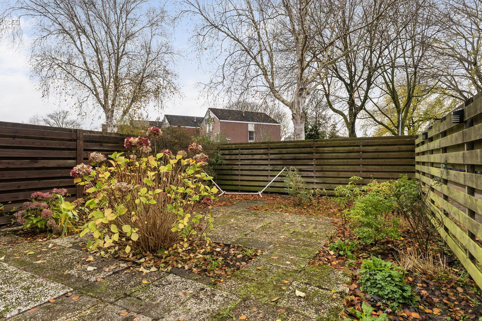 Kamgras 149 in Leeuwarden