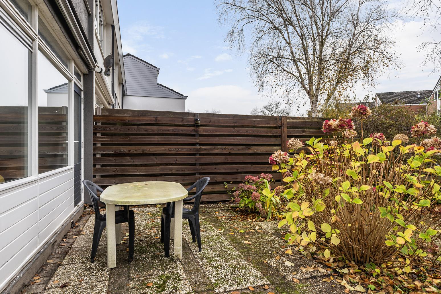 Kamgras 149 in Leeuwarden