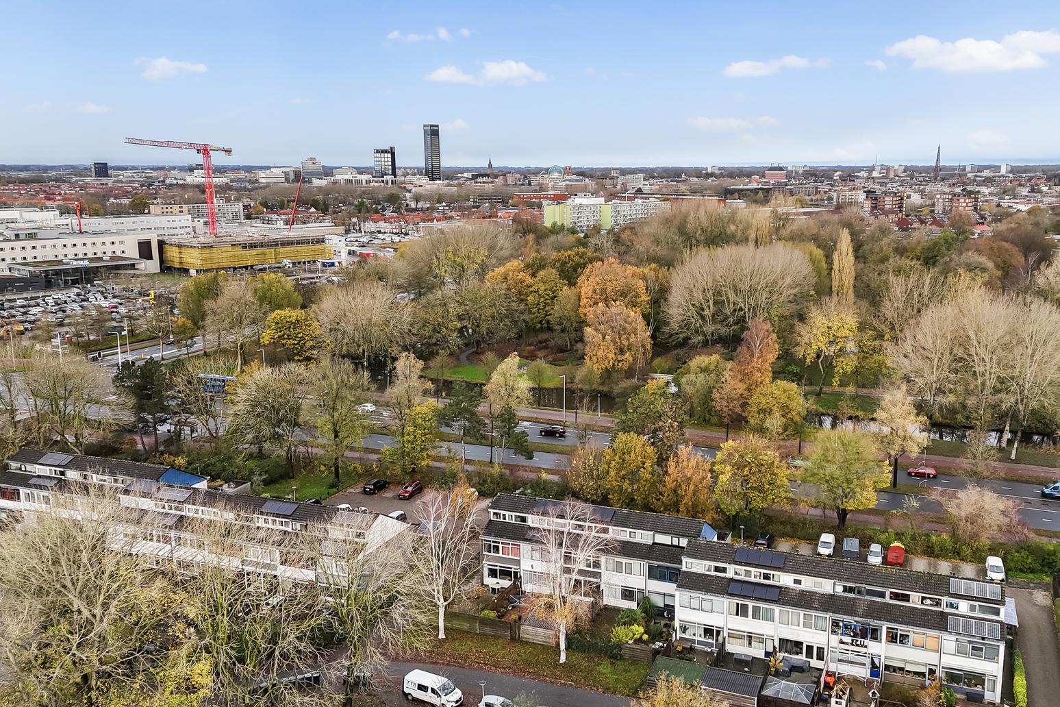 Kamgras 149 in Leeuwarden