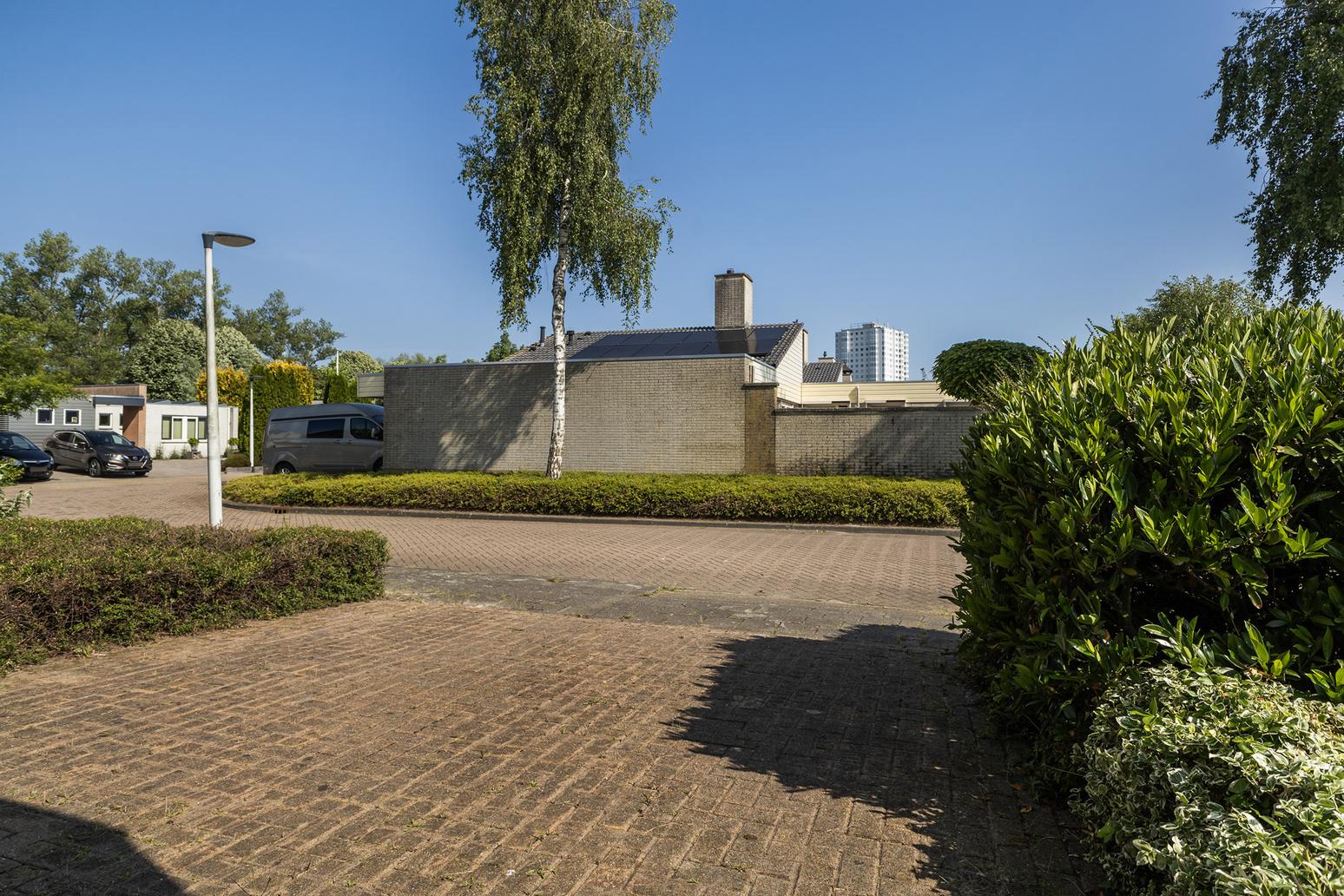 Wite Finne 1 in Goutum