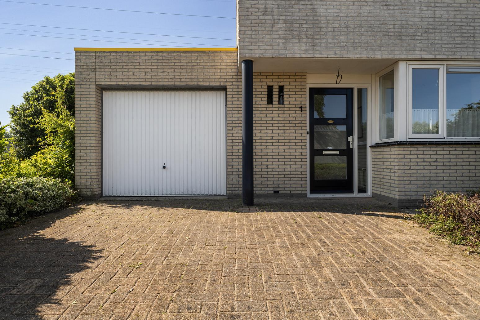 Wite Finne 1 in Goutum