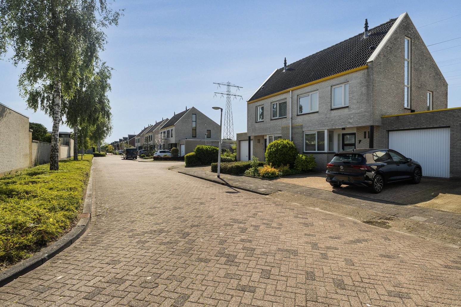 Wite Finne 1 in Goutum